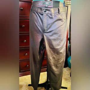 Women’s Plus size Purple-ish pleather type pants